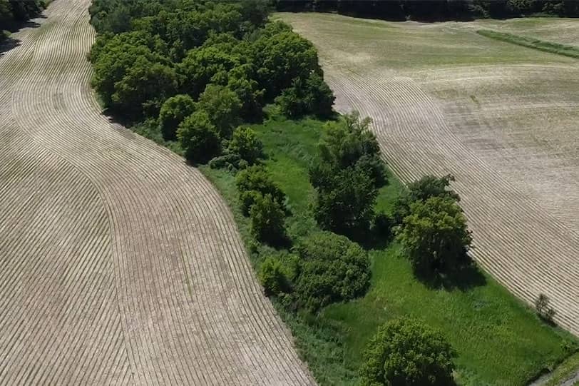 A variety of lot types to choose from.